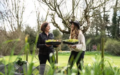 Lucy Hutchings & Kate Cotterill, Sustainability female founder UK Lucy Hutchings & Kate Cotterill – female entrepreneur and founder of She Grows Veg, a UK Sustainability business